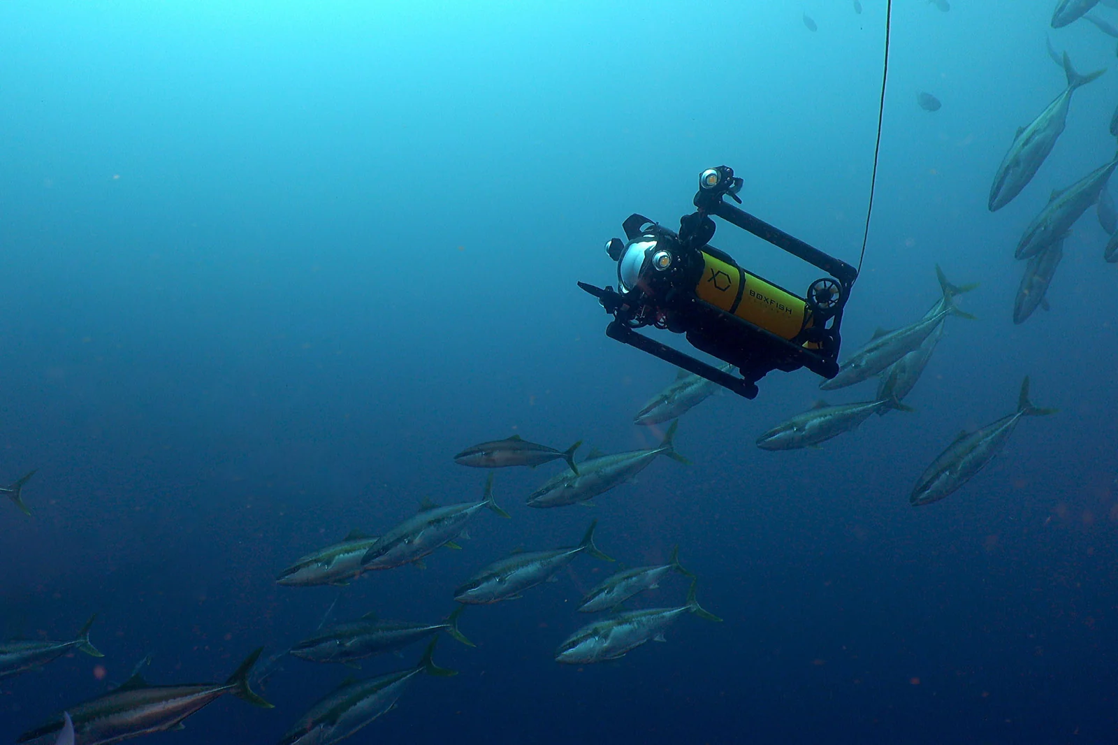 Boxfish Robotics Luna ROV