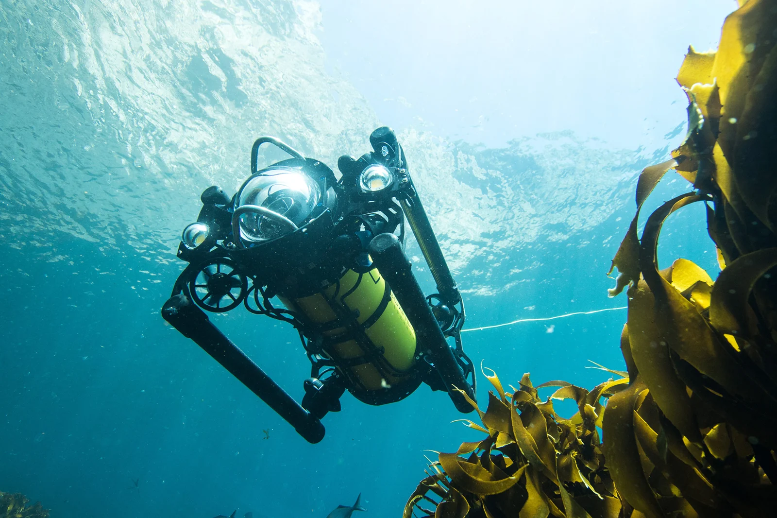 Boxfish Robotics Boxfish ROV
