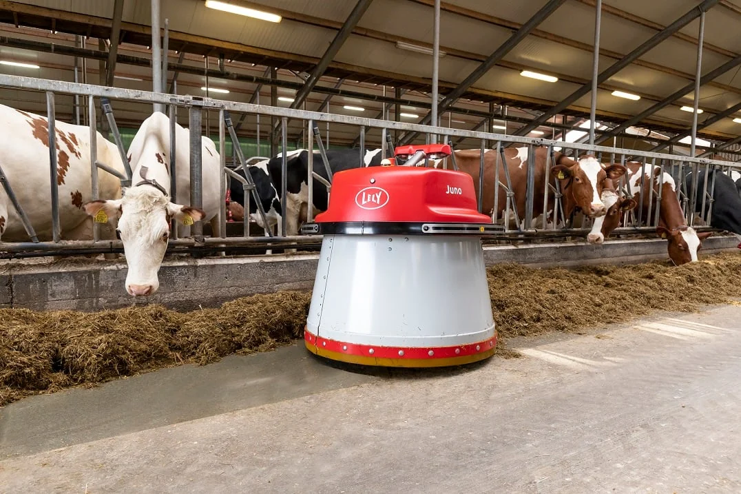 Lely Juno family