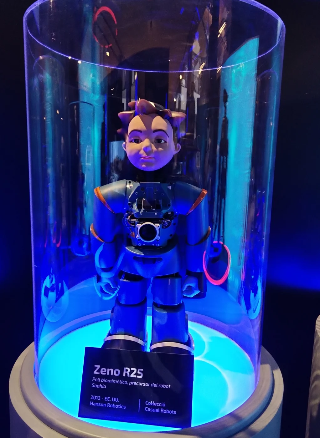 RoboKind Zeno R25
